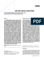Biologia Molecular Del Cancer Colorrectal