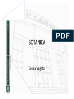 Botanica Celula Vegetal