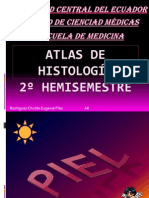 Placas de Histologia 2º Hemisemestre