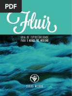 FLUIR McCORD.pdf