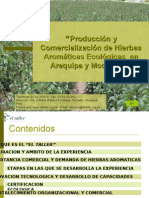 7117404 Produccion y Comercializacion de Hierbas Aromaticas Ecologicas Dieter Clower