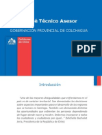 Comité Técnico Asesor2