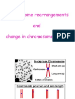 Chromosome Rearrangements and Change in Chromosome Number