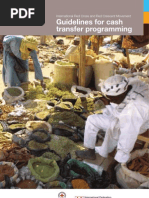 Download Guidelines for Cash Transfer Programming by International Committee of the Red Cross SN22099402 doc pdf