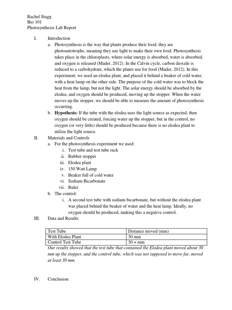 Photosynthesis Lab Report Photosynthesis Scientific Control