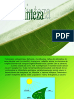 Fotosinteza 1