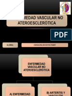 Enfermedad Vascular No Ateroesclerotica