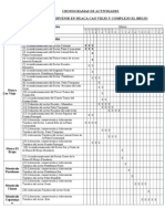 Cronogramas de Actividades