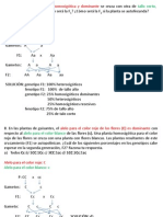 ejercicios genetica