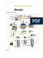 Fabricación de Productos Gasificados (1)