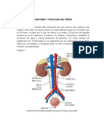 anatomayfisiologiadelrio1-120911082712-phpapp02