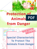 Protection of Animal From Danger