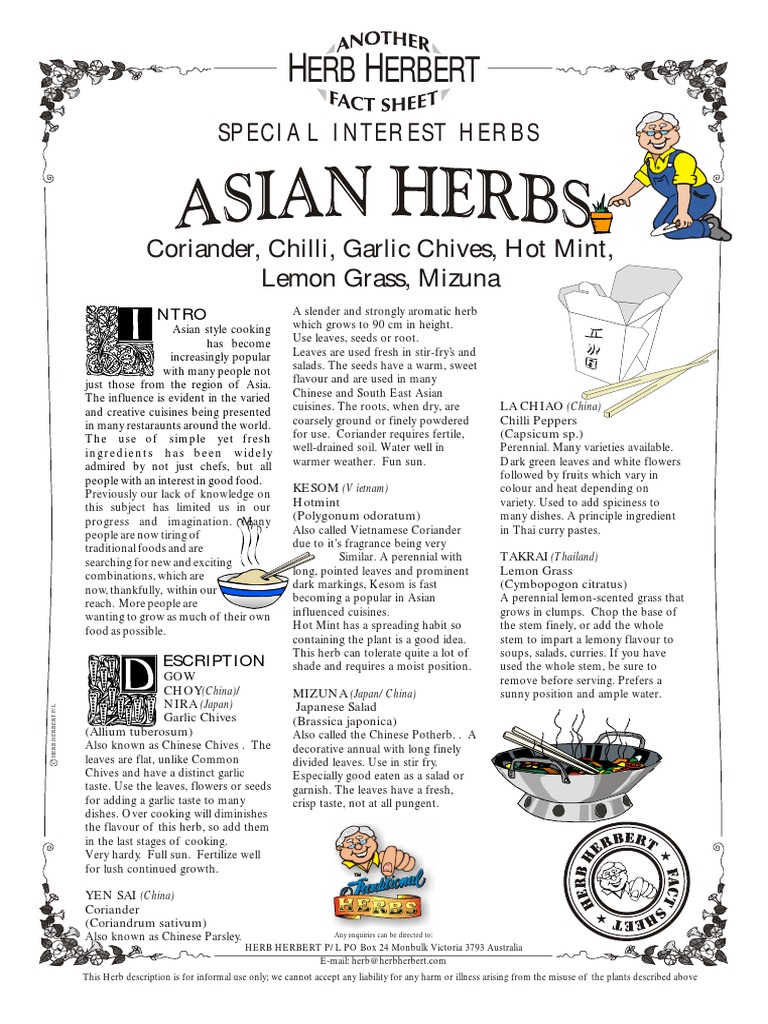 ERB Erbert Special Interest Herbs PDF Coriander Asian Cuisine