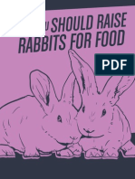 Why You Should Raise Rabbits For Food