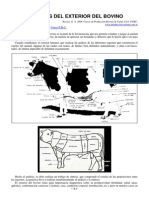 (Anatomía) - Regiones Del Exterior Del Bovino