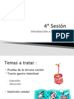 4ª sesión - Absorción y metabolismo