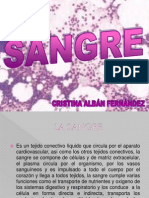 Tutoria Sangre Hematopoyesis [Reparado]