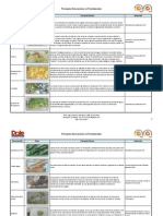 Principales Desviaciones en Pre-Elaborados