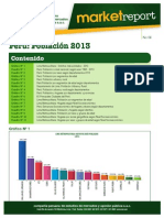 CPI – Market Report 2013