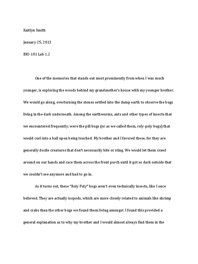 Sowbug report essay sample essay 06 image