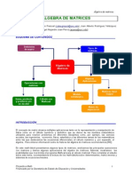 Algebra Matrices