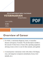career veterinarian