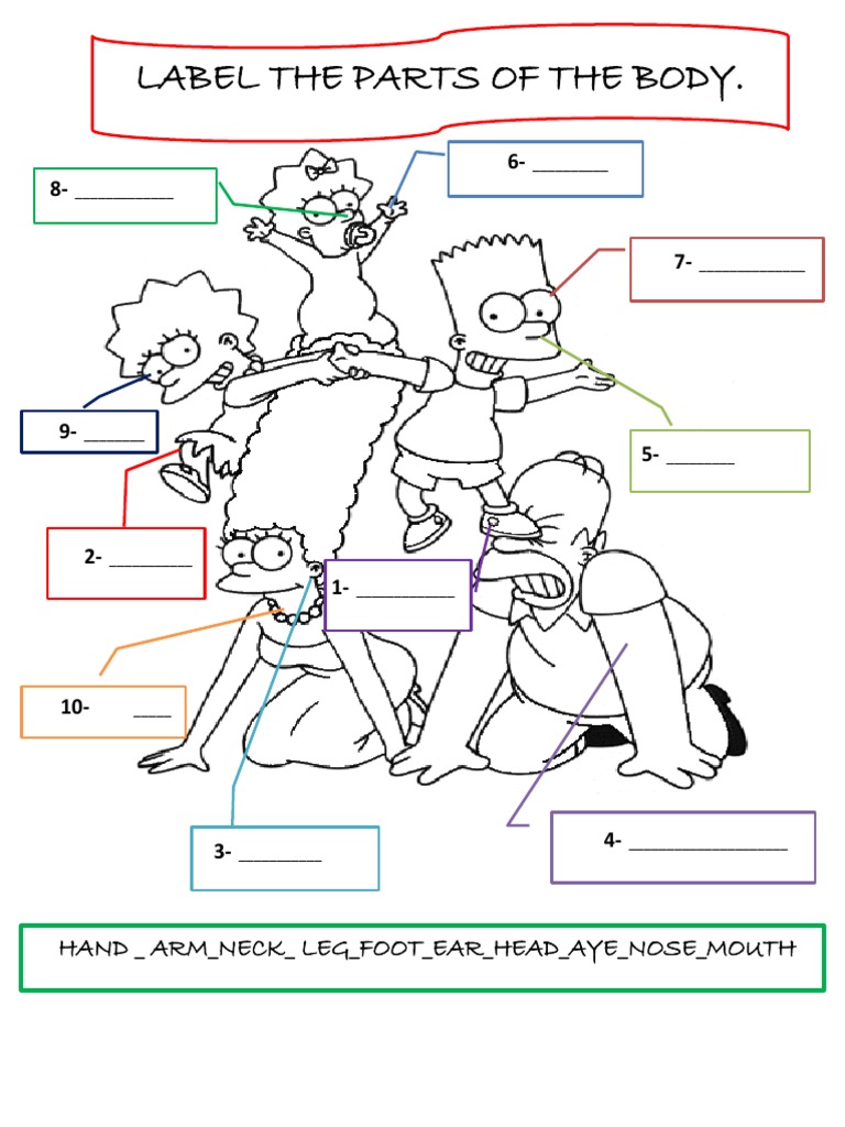 Simpsons Parts of The Body | PDF