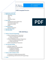 SAP CRM Conceptual Overview and Technical Deep Dive