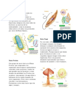 5 Reinos de La Naturaleza