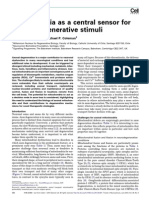 Mitochondria As A Central Sensor For Axonal Degenerative Stimuli