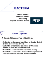 24731 Bacteria