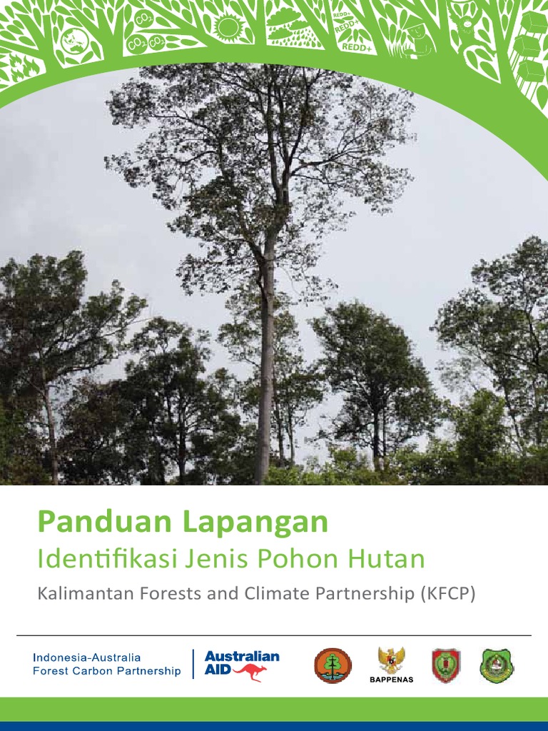 Panduan Lapangan Identifikasi Jenis Pohon Hutan PDF