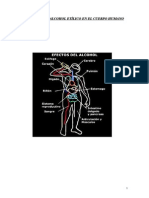 3265251 Efectos Del Alcohol en El Organismo