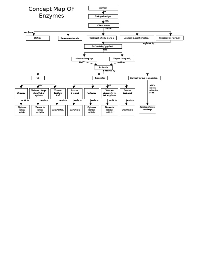 enzyme concept map Enzyme Molecular Biology