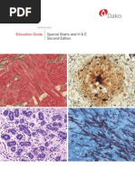 Download 08066 Special Stains Eduguide by BegumHazin SN221185809 doc pdf