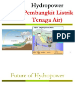 Future of Hydropower and its Untapped Potential