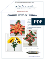 137412430 Manual Paso a Paso Multiflores MAYO 2012 PDF PDF