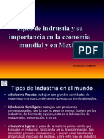 tipos de indrustia y su importancia en la 2