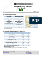 Información Básica de BRASIL