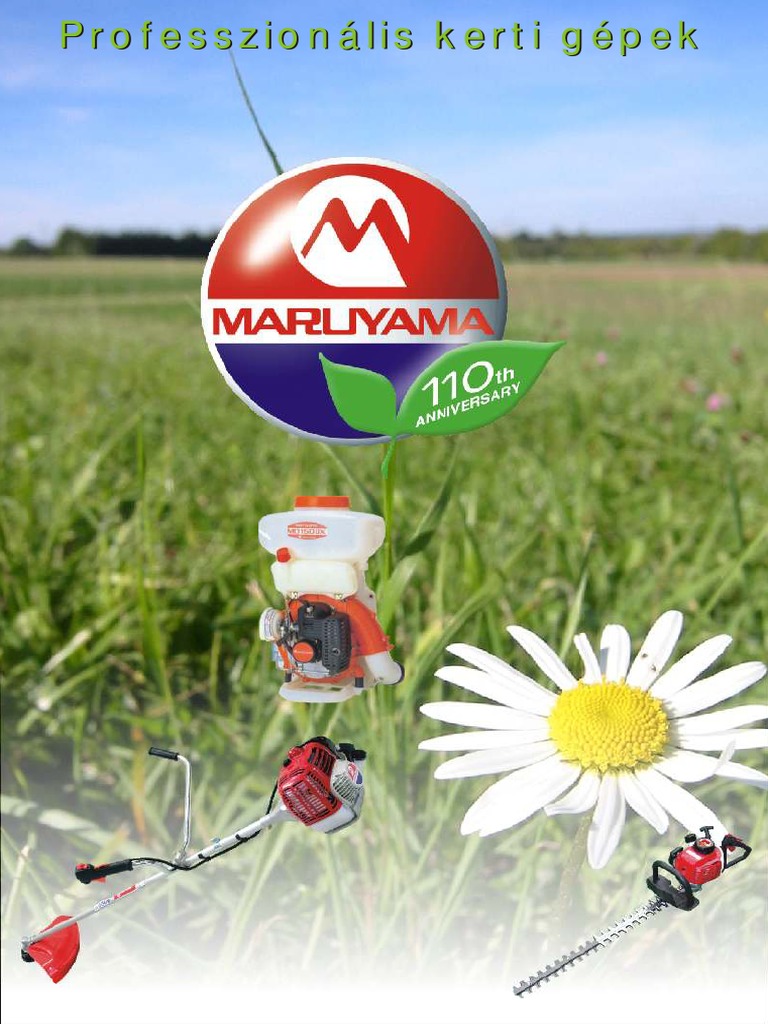Maruyama | PDF