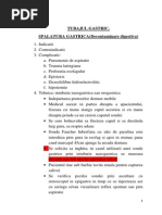 Download Spalatura Gastrica PDF by Ciprian Rata SN221226302 doc pdf