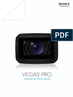 Vegaspro100 Qsg Esp