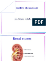14 Renal Stone, Hydronephrosis, &Polycystic k (1)