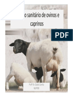 Manejo Sanitário Ovinos e Caprinos