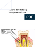 Anatomi Jaringan Periodontal