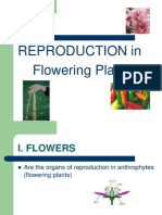 Plant Reproduction