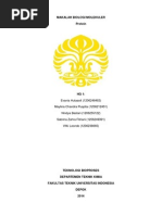 Download Makalah Protein HG 1 by sabrinazahraf SN221316936 doc pdf