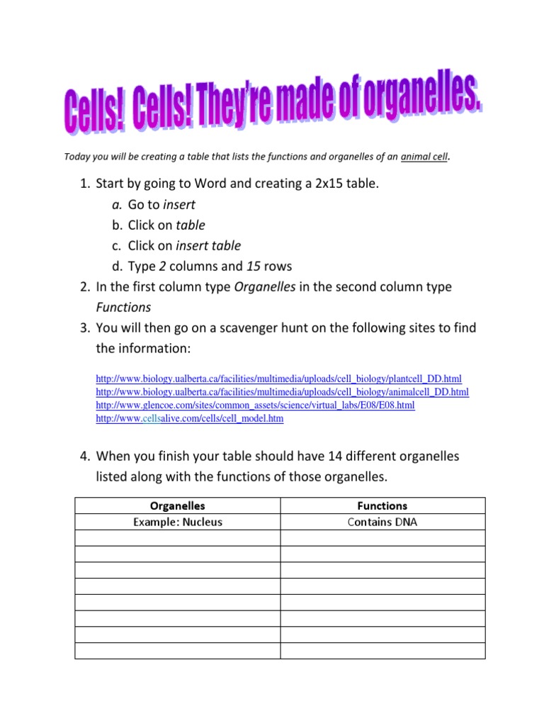 Animal Cell Organelles and Functions Guide | PDF