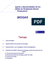 87_3_Panel_I_Biogas