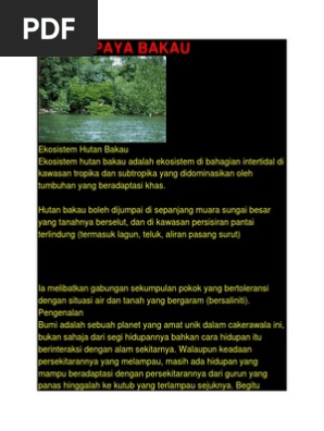 Hutan Paya Bakau Pdf